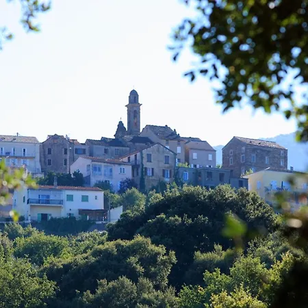 Maison De 2 Chambres Avec Piscine Partagee Et Jardin Amenage A Ocagnano Hébergement de vacances Sorbo-Ocagnano