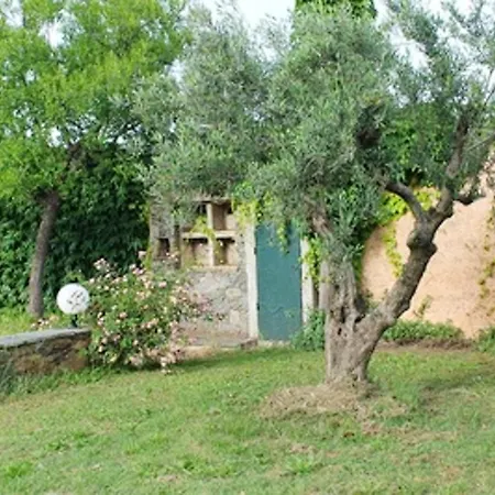 Maison De 2 Chambres Avec Piscine Partagee Et Jardin Amenage A Ocagnano *